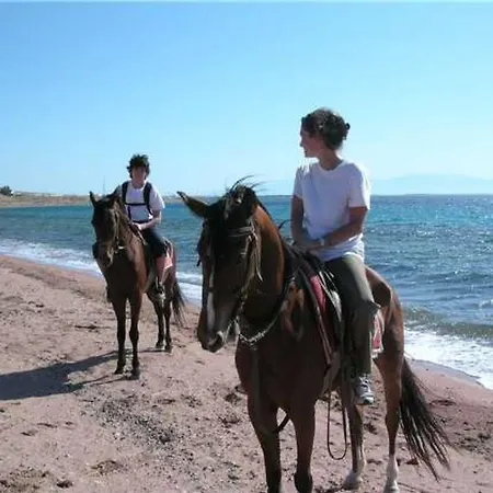 Strandappartement Ana Mit Meerblick- Garten- Grillplatz By Interhome Apartment *