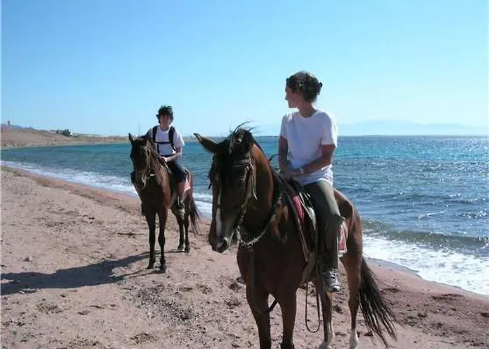 Strandappartement Ana Mit Meerblick- Garten- Grillplatz By Interhome Апартаменты *